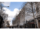 Avenue des Champs Élysées, Paris